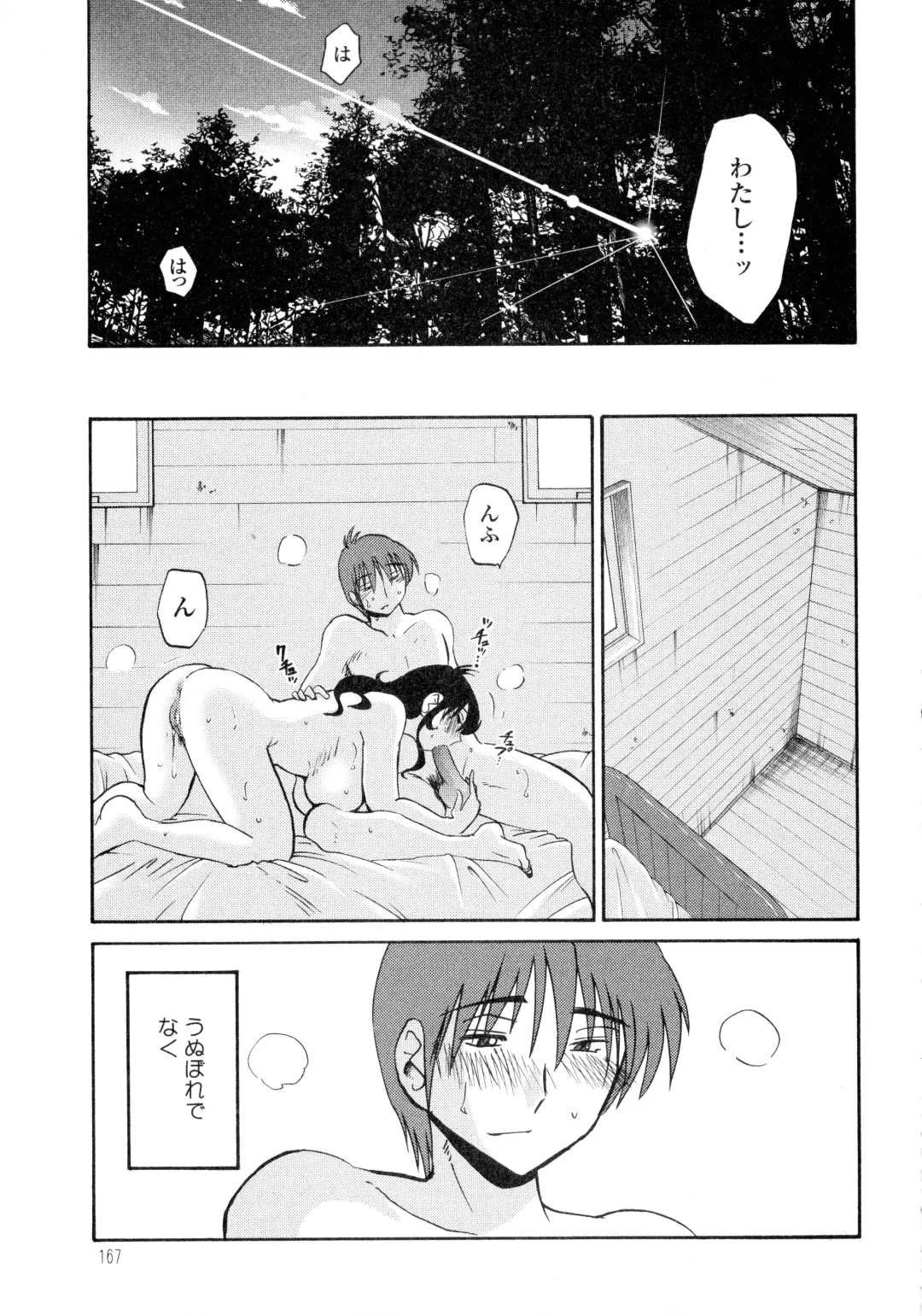 [Tsuyatsuya] Monokage no Iris 2 Fhentai - Page 167