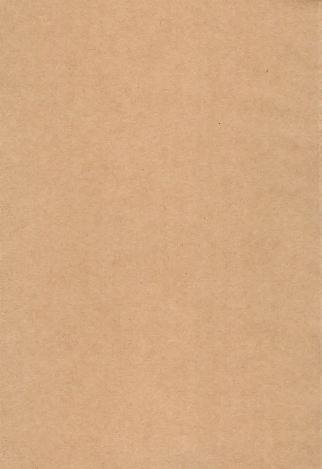 PLAY PLAY PLAY Fhentai - Page 3