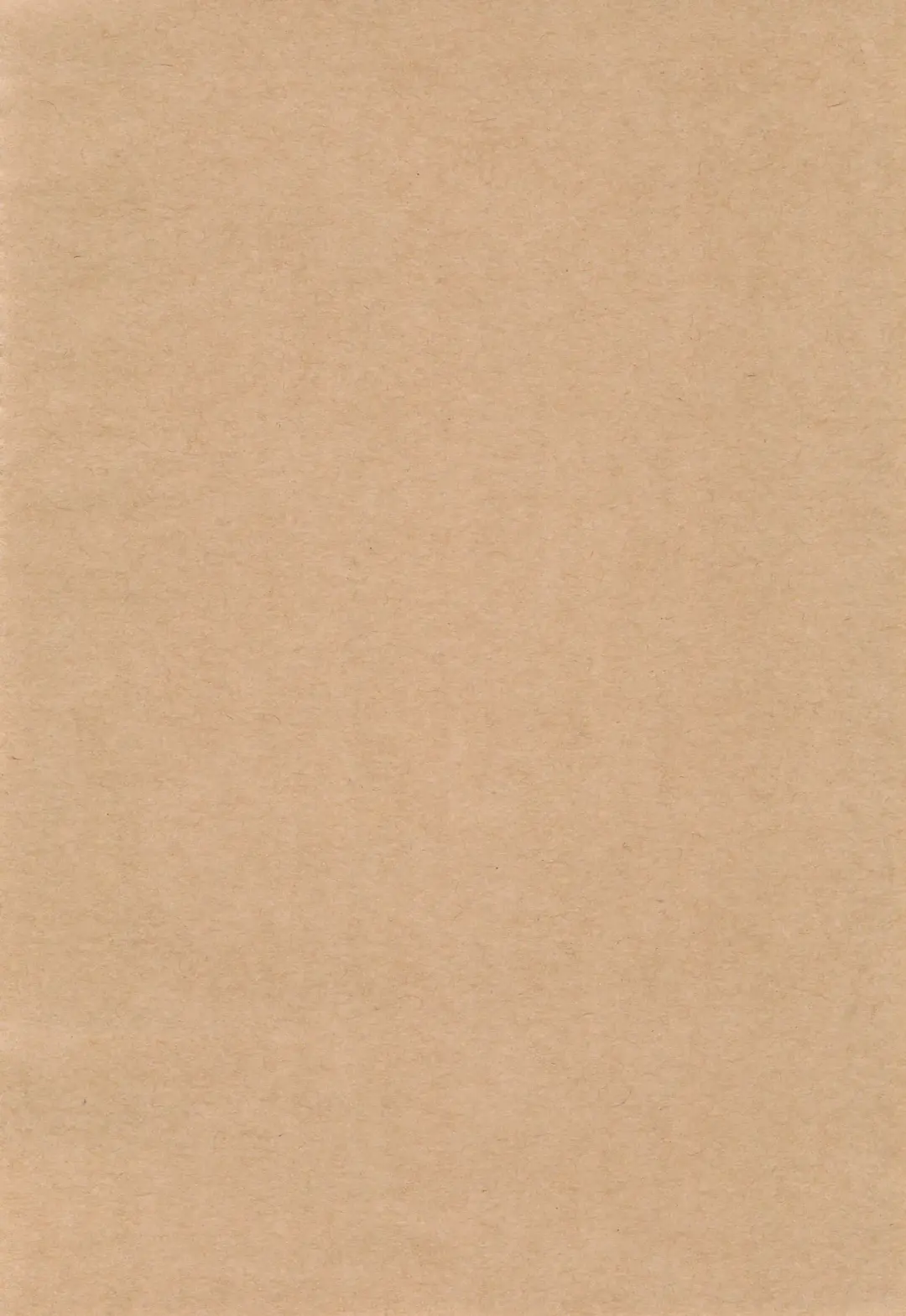 PLAY PLAY PLAY Fhentai - Page 4