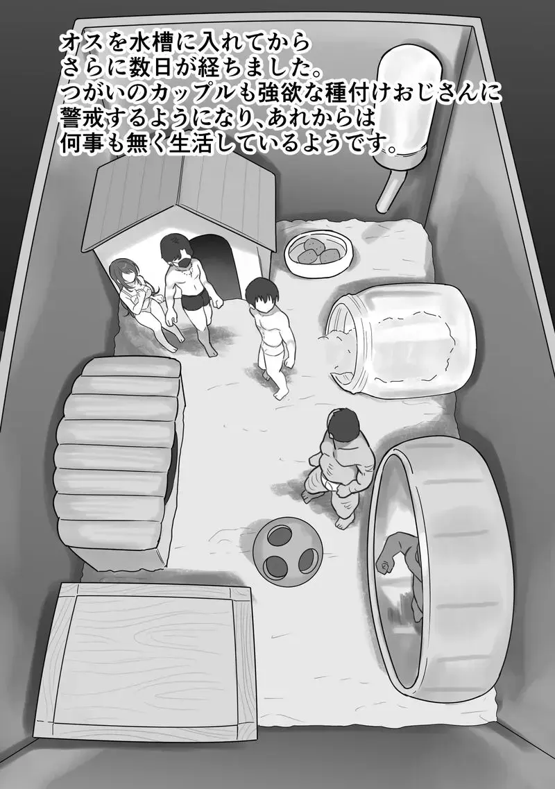 [Ruutyan] ［Ruutyan］ Fhentai - Page 17