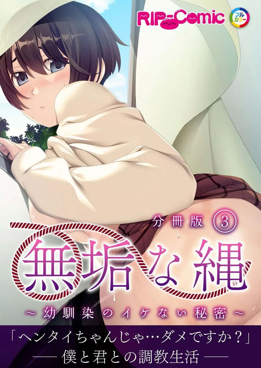 [Benetty] Mujou no Sakusei Vol. 16 ~Inran Maso o Shikomu Chou Choukyou!! Mitame ni Hanshite Doshigatai Hentaikko~ "FetiColle! Series" Fhentai - Page 194