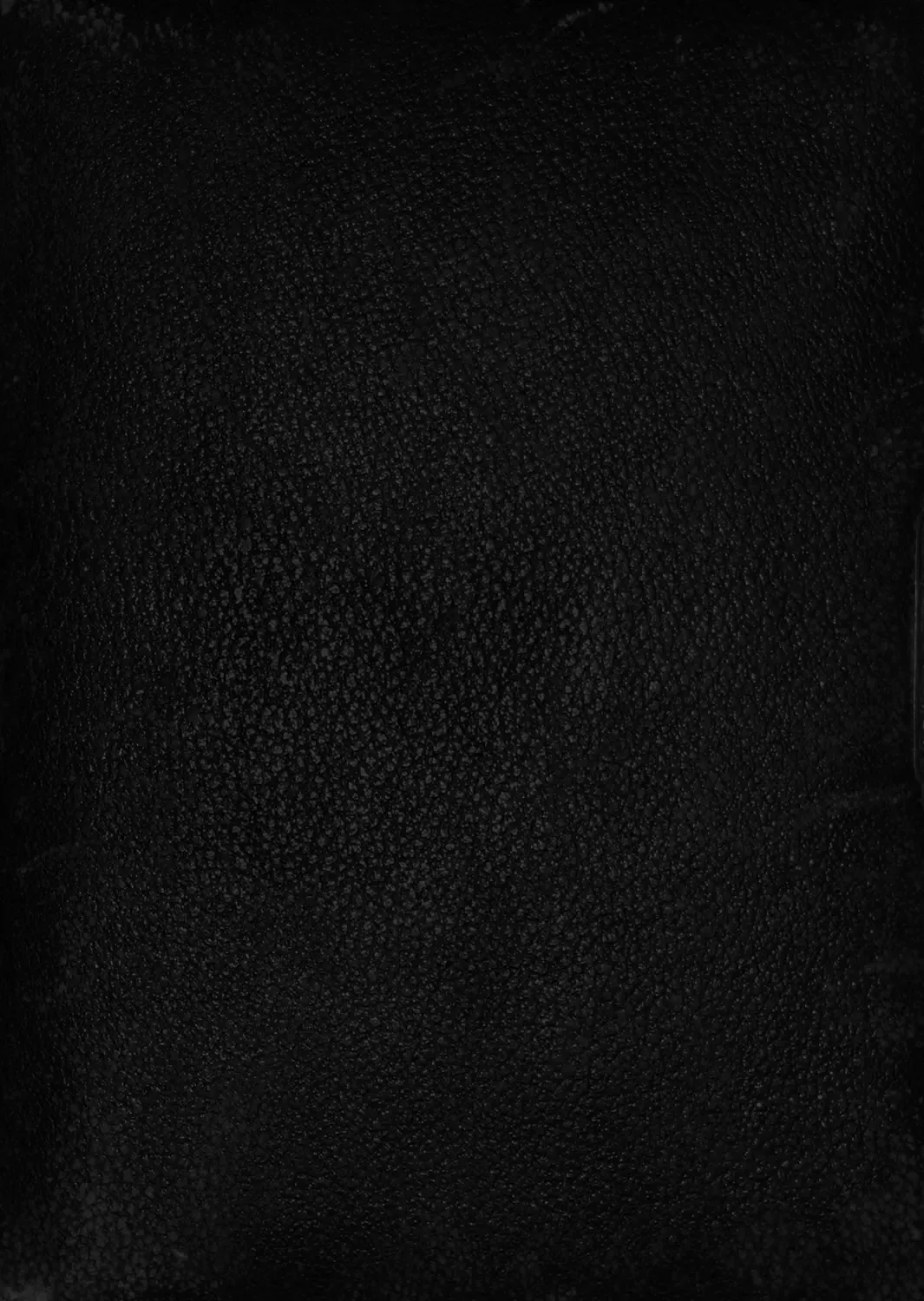 Isekai Harem Monogatari 4-4.5 Fhentai - Page 55