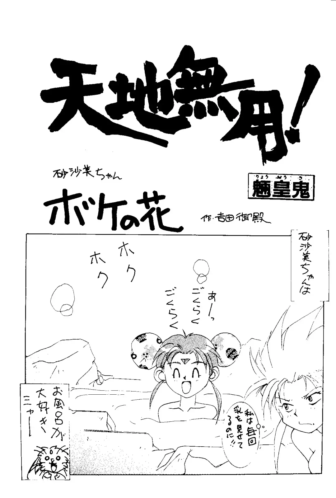 [Hiraki Naori] MENTAIKO Tenchi Mujou Fhentai - Page 4