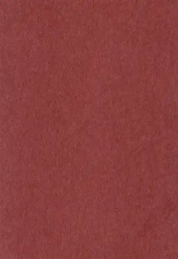 [Con - Hiiragi] Haru o Uru Fhentai - Page 3