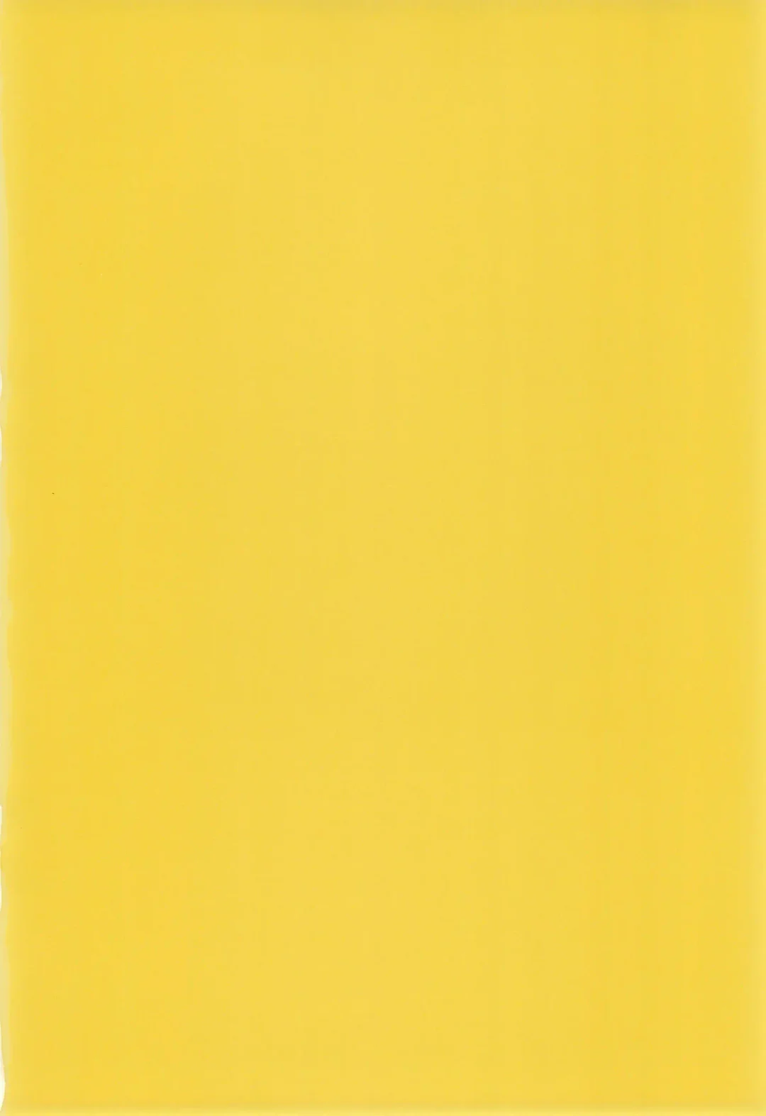 [Con] SKYNSKBB Fhentai - Page 4