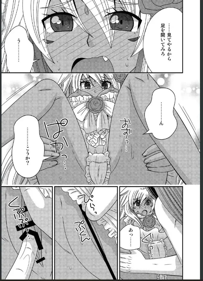 [Naruse] 女体化した勇者様が魔王の嫁になるまで Fhentai - Page 13