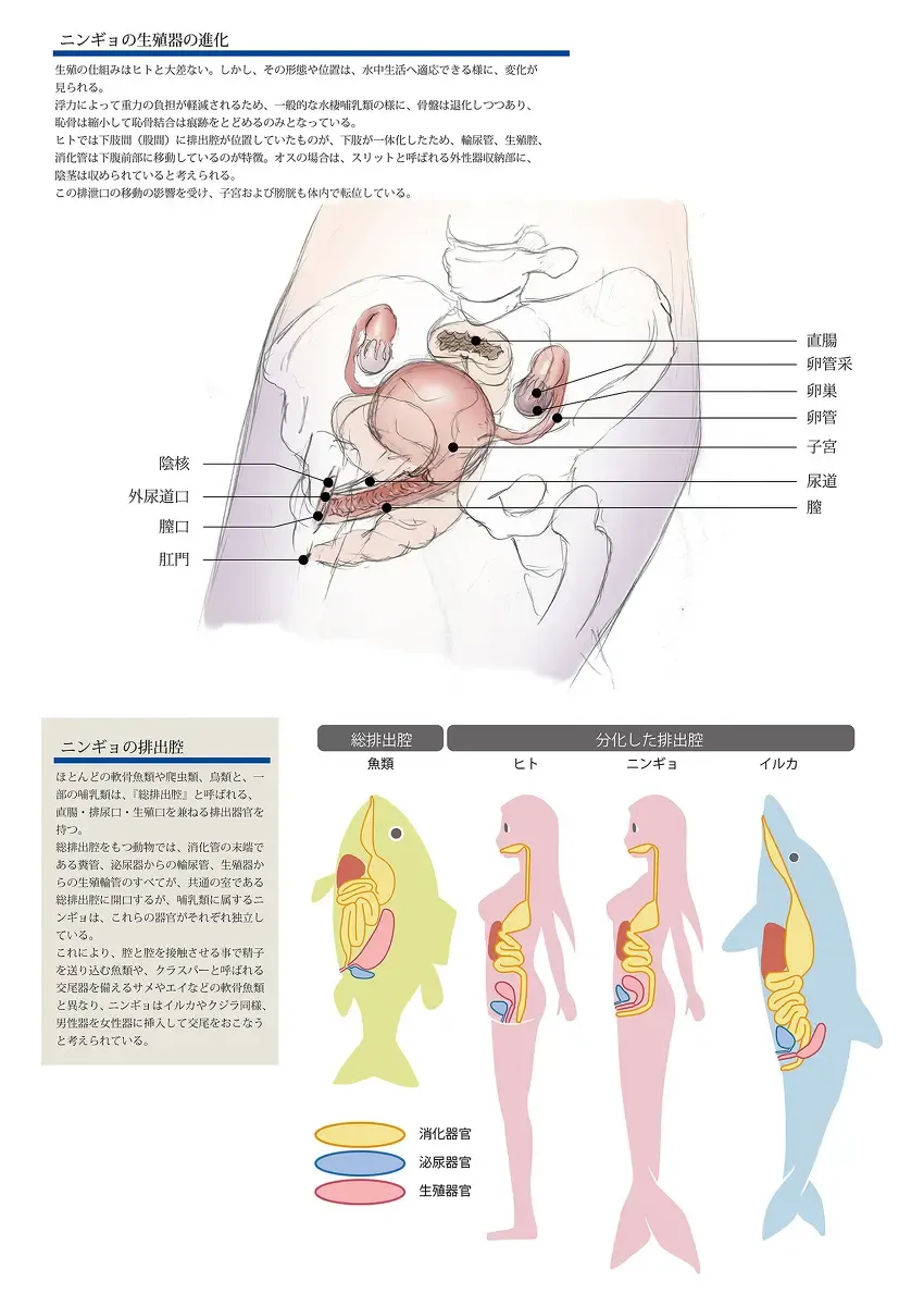 [Marielo] Bitch Mermaid 01-26 Fhentai - Page 30