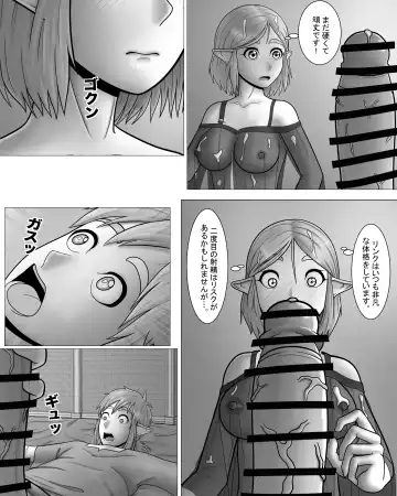 Zeruda no Densetsu: Purinsesu to Sugosu Yoru Fhentai - Page 14