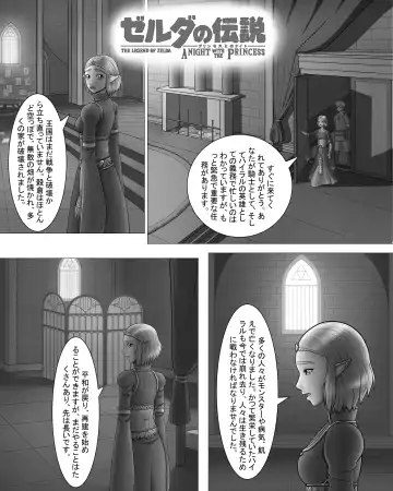 Zeruda no Densetsu: Purinsesu to Sugosu Yoru Fhentai - Page 3
