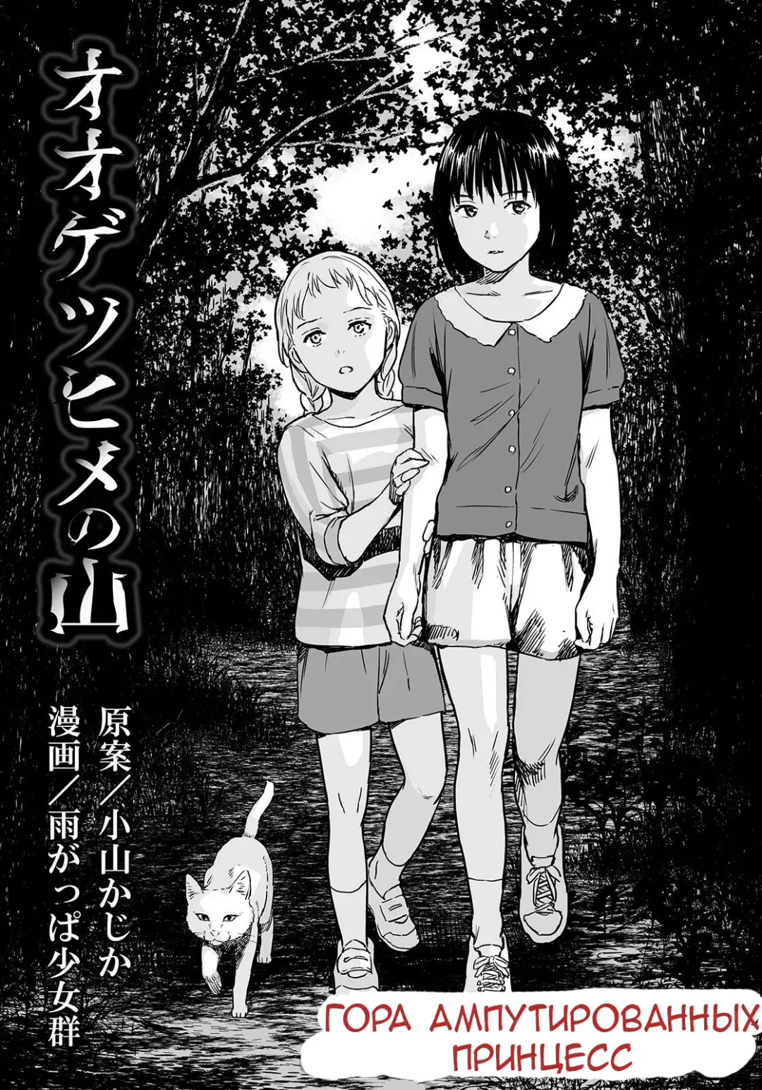 [Amagappa Shoujogun] Oogetsuhime no Yama | Гора Ампутированных Принцесс Fhentai - Page 3