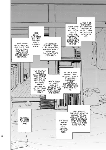 [Shinozaki Rei] Succubus Fhentai - Page 27