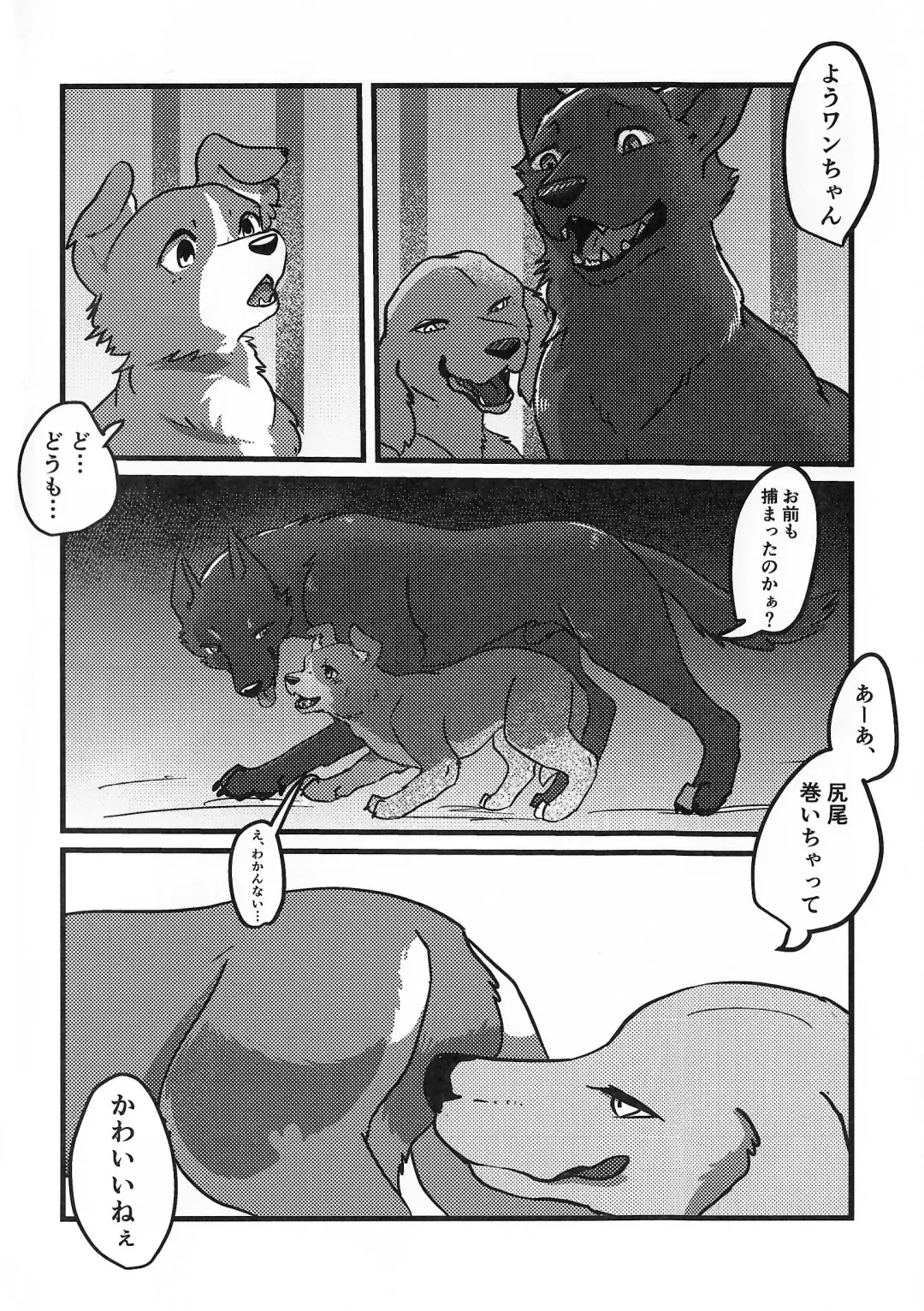 [Momou] DOG.IN.CAGE The best in corn Fhentai - Page 3