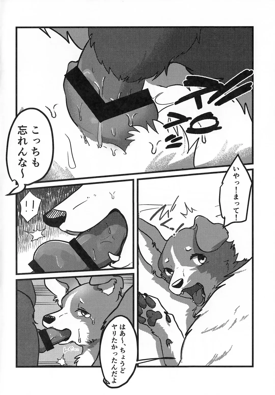 [Momou] DOG.IN.CAGE The best in corn Fhentai - Page 5