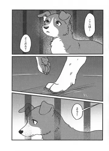 [Momou] DOG.IN.CAGE The best in corn Fhentai - Page 2