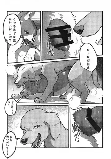 [Momou] DOG.IN.CAGE The best in corn Fhentai - Page 7