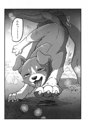 [Momou] DOG.IN.CAGE The best in corn Fhentai - Page 9