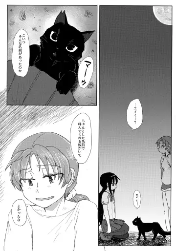 [Mikan No Kawa Houchikai No Shinsei] 地域ネコのサクラさん① Fhentai - Page 17