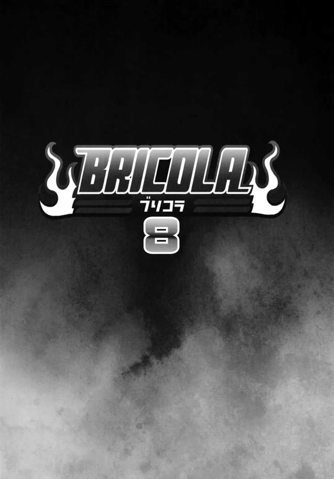 [Haikawa Hemlen] BRICOLA 8 Fhentai - Page 2