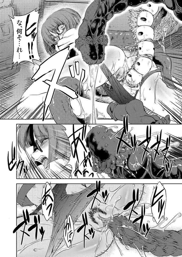 [Miharu] Injuu Hanshoku tai Tokuhon Fhentai - Page 12