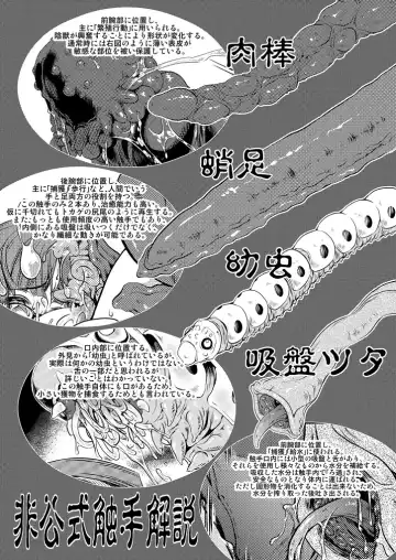 [Miharu] Injuu Hanshoku tai Tokuhon Fhentai - Page 16