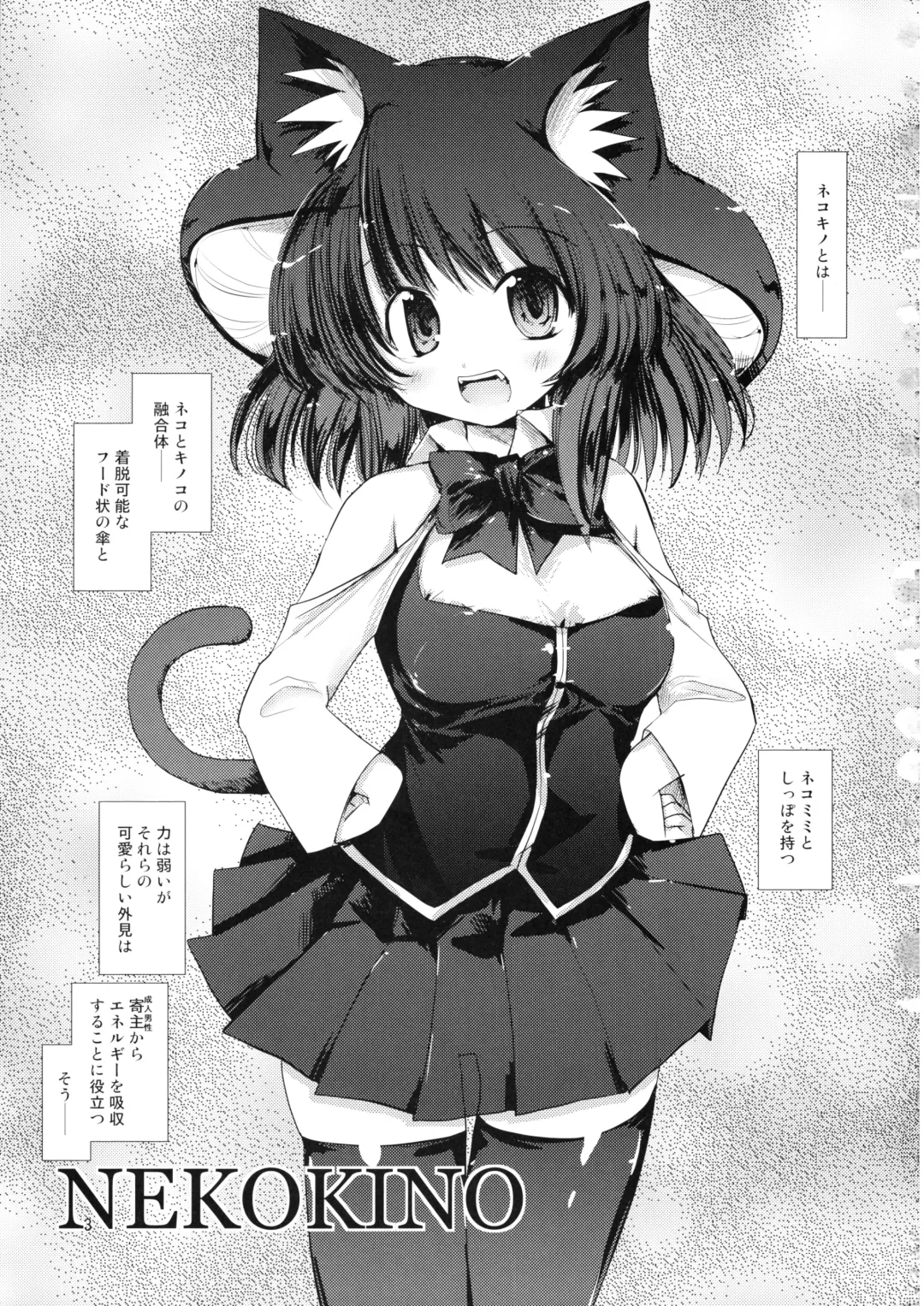 [Nixinamo Lens] NIXINAMO DAYS 2008 WINTER Fhentai - Page 2