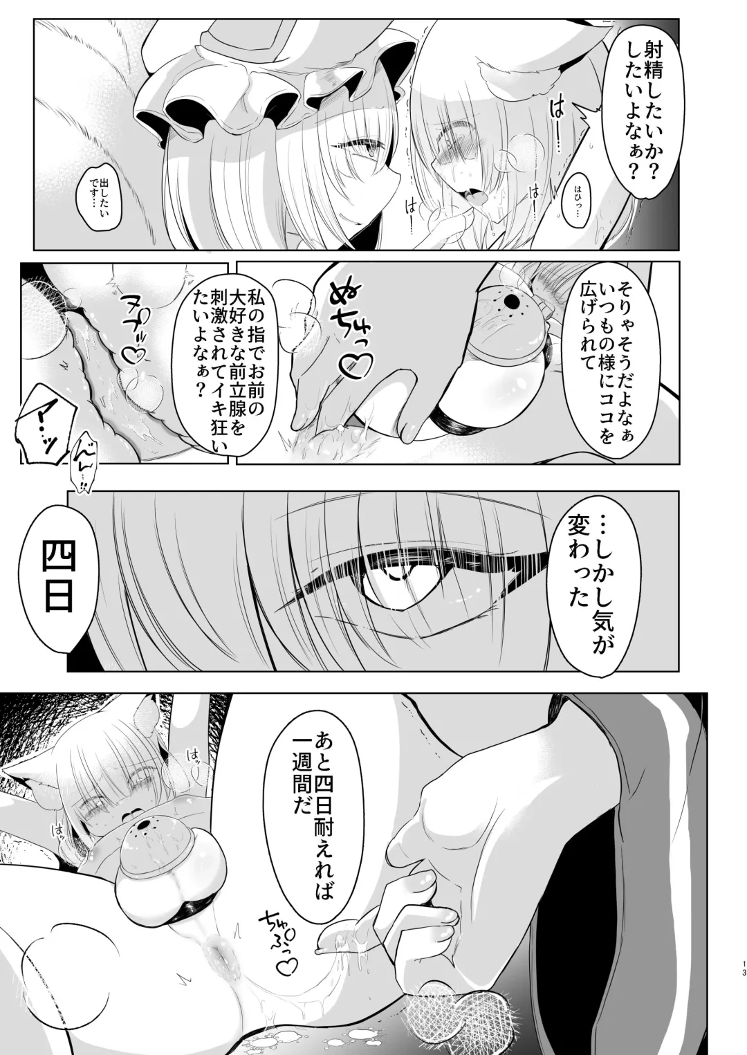 [Miyase Nukko] 八雲藍による性奴○射精管理調教 子狐編 Fhentai - Page 12