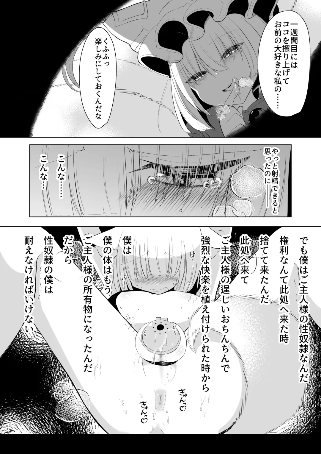 [Miyase Nukko] 八雲藍による性奴○射精管理調教 子狐編 Fhentai - Page 13
