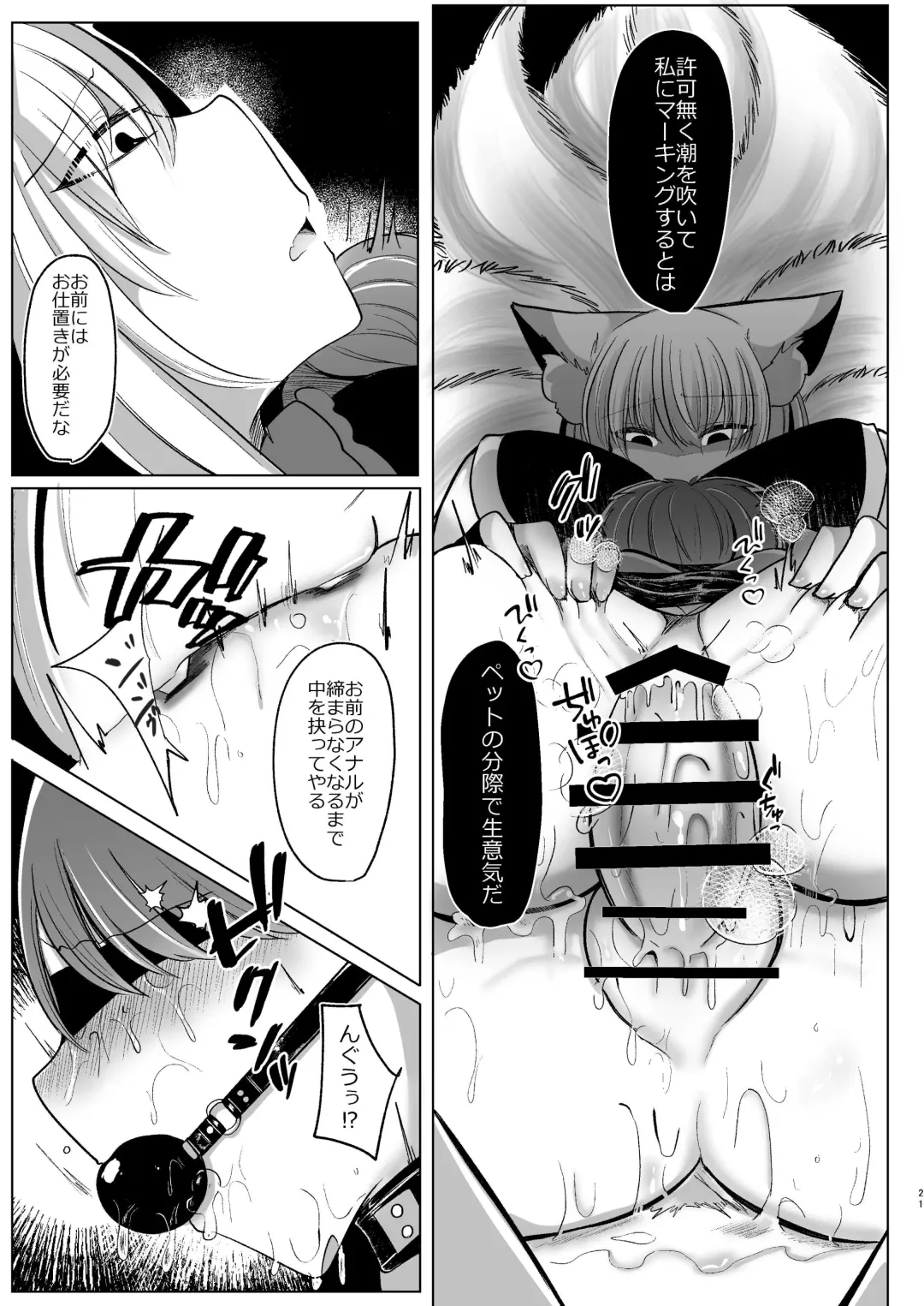 [Miyase Nukko] 八雲藍が性処理ペットと戯れる本 Fhentai - Page 21