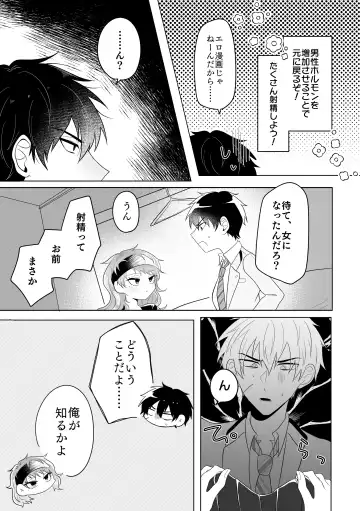 [Takenoko] Metamorphose Cinderella Night Fhentai - Page 4