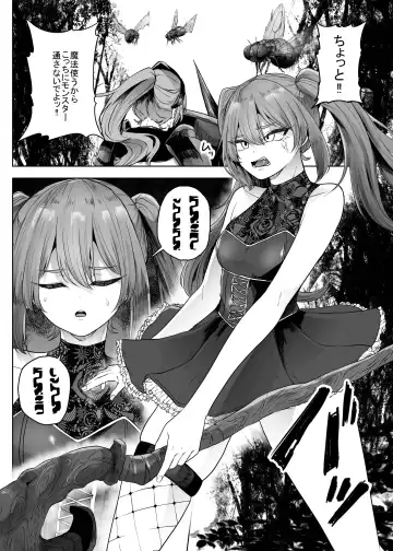 Namaiki Mahoutsukai Hae ni Wakaraserareru Fhentai - Page 3