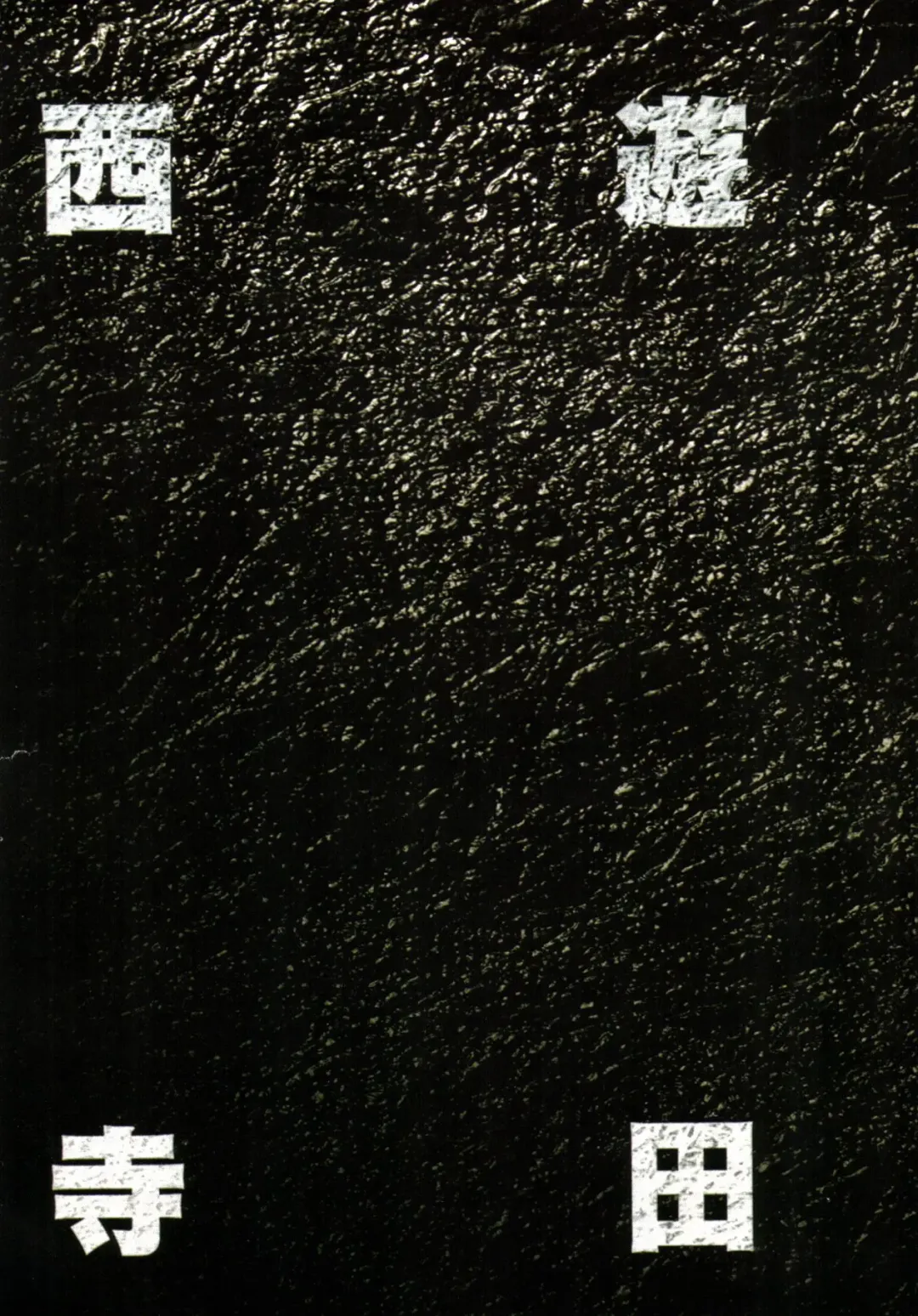 [Terada Katsuya] 【寺田克也】西游奇传大猿王一卷 Fhentai - Page 11