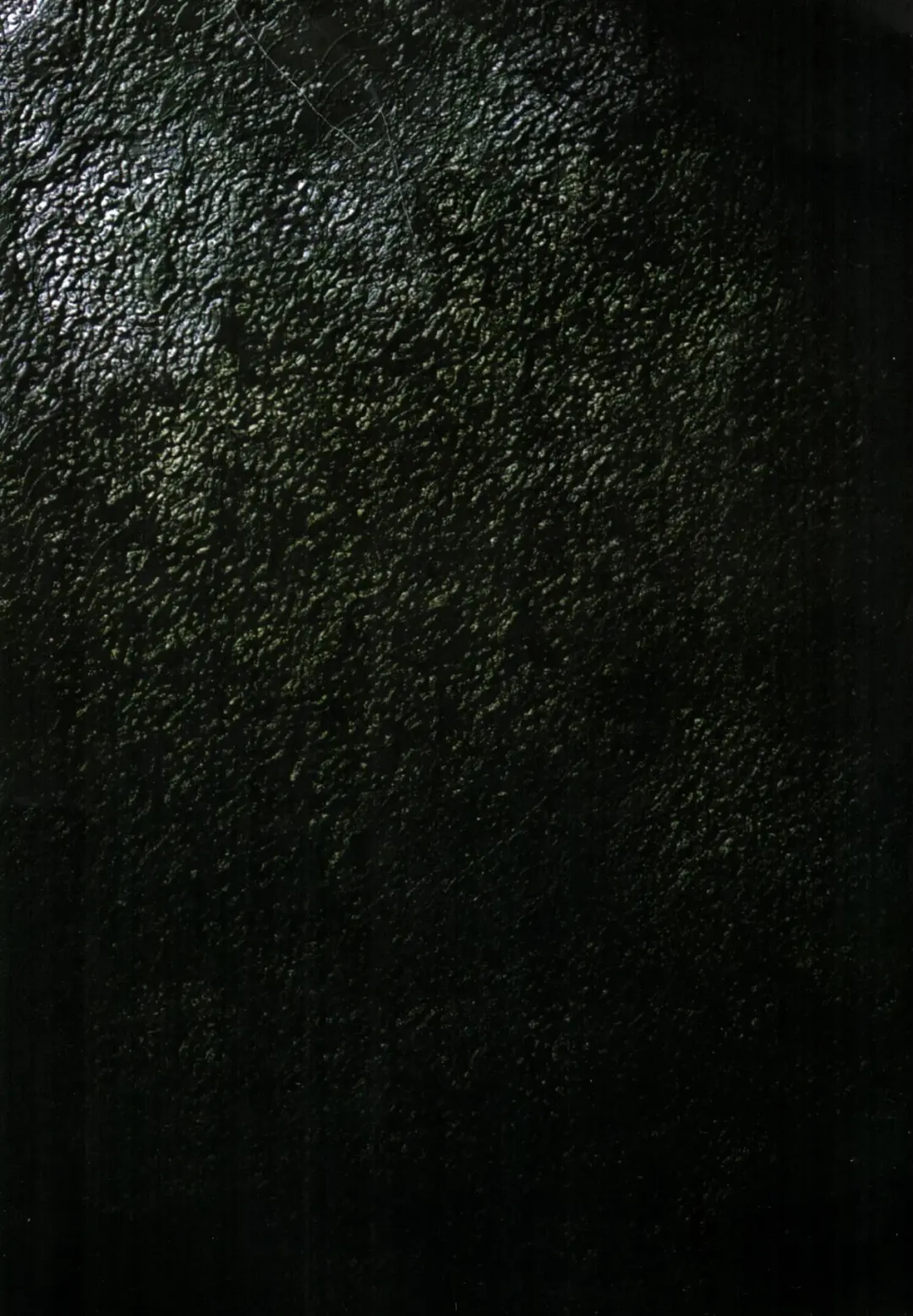 [Terada Katsuya] 【寺田克也】西游奇传大猿王一卷 Fhentai - Page 27