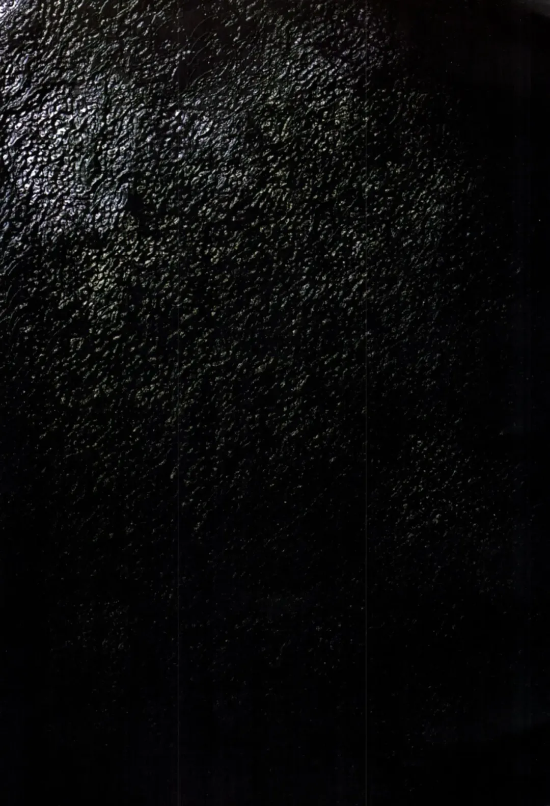 [Terada Katsuya] 【寺田克也】西游奇传大猿王一卷 Fhentai - Page 79