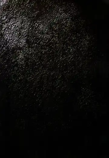 [Terada Katsuya] 【寺田克也】西游奇传大猿王一卷 Fhentai - Page 17