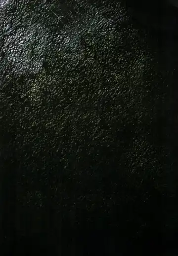 [Terada Katsuya] 【寺田克也】西游奇传大猿王一卷 Fhentai - Page 27