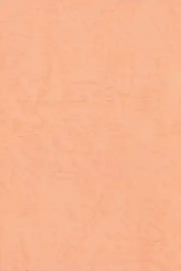 Game no Shuujin Fhentai - Page 2