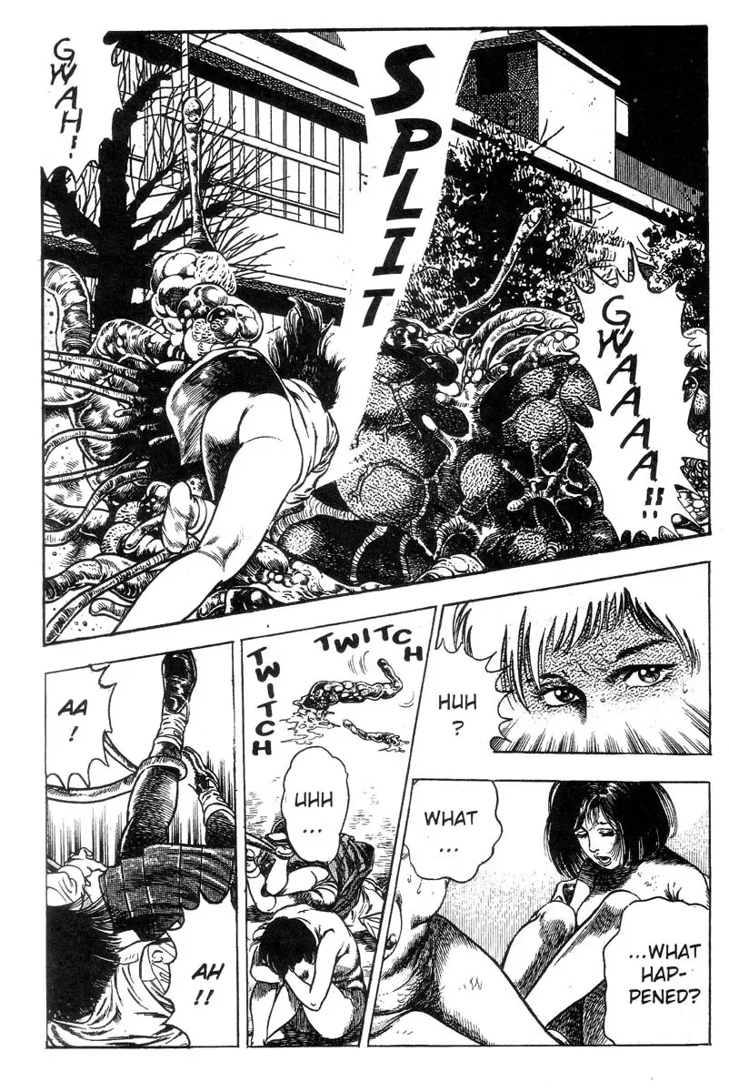 [Maeda Toshio] Demon Beast Invasion - Vol.002 Fhentai - Page 220