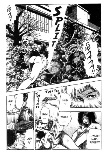 [Maeda Toshio] Demon Beast Invasion - Vol.002 Fhentai - Page 220