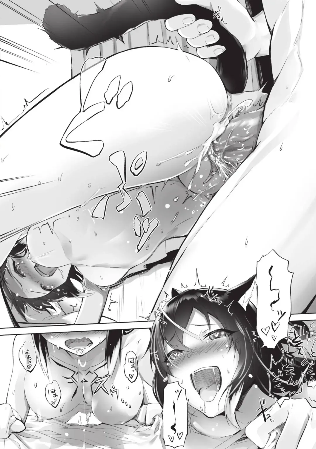 [Kyougoku Touya] Kemomimi no Lycoris - Lycoris of Kemomimi  1 | 獸耳的麗可莉絲1 (decensored) Fhentai - Page 25