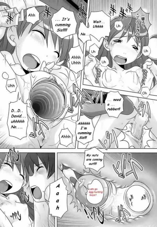[Low] Knocking Up Sis Fhentai - Page 14