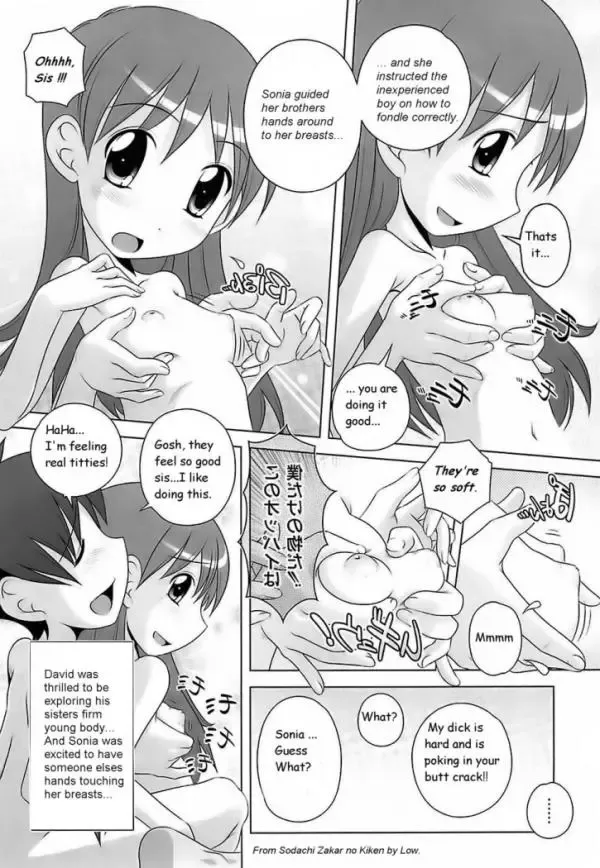 [Low] Knocking Up Sis Fhentai - Page 6