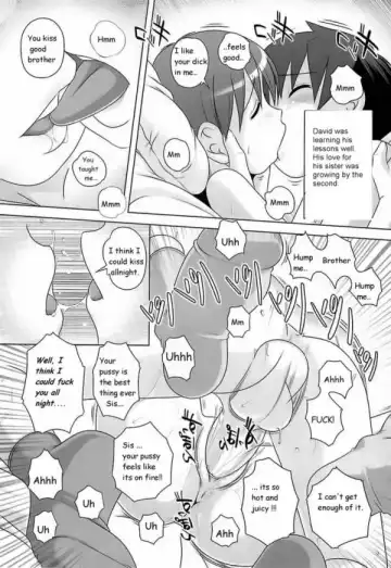 [Low] Knocking Up Sis Fhentai - Page 11