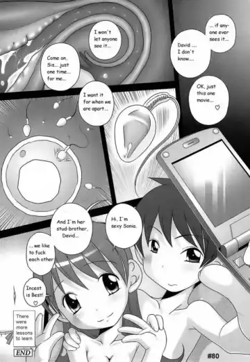 [Low] Knocking Up Sis Fhentai - Page 16