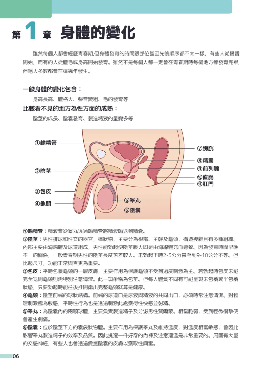 [Ruki] Itazura Shounen Kansatsu Nikki | 一起快樂學~ 小健老師的健康教育 (uncensored) Fhentai - Page 7