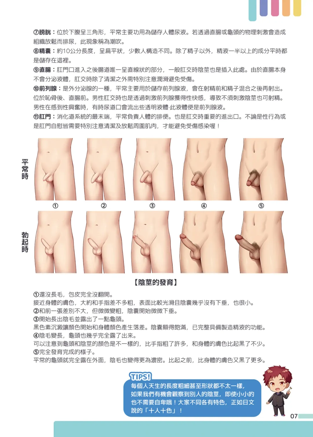 [Ruki] Itazura Shounen Kansatsu Nikki | 一起快樂學~ 小健老師的健康教育 (uncensored) Fhentai - Page 8