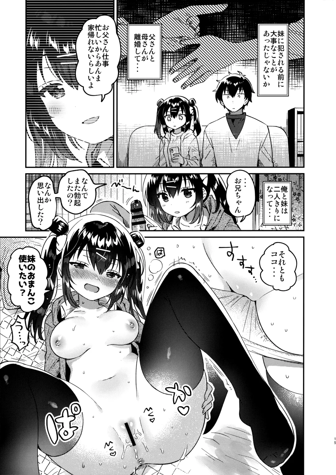 [Ichihaya] Imouto to Nazo no Niku Vibe Fhentai - Page 14