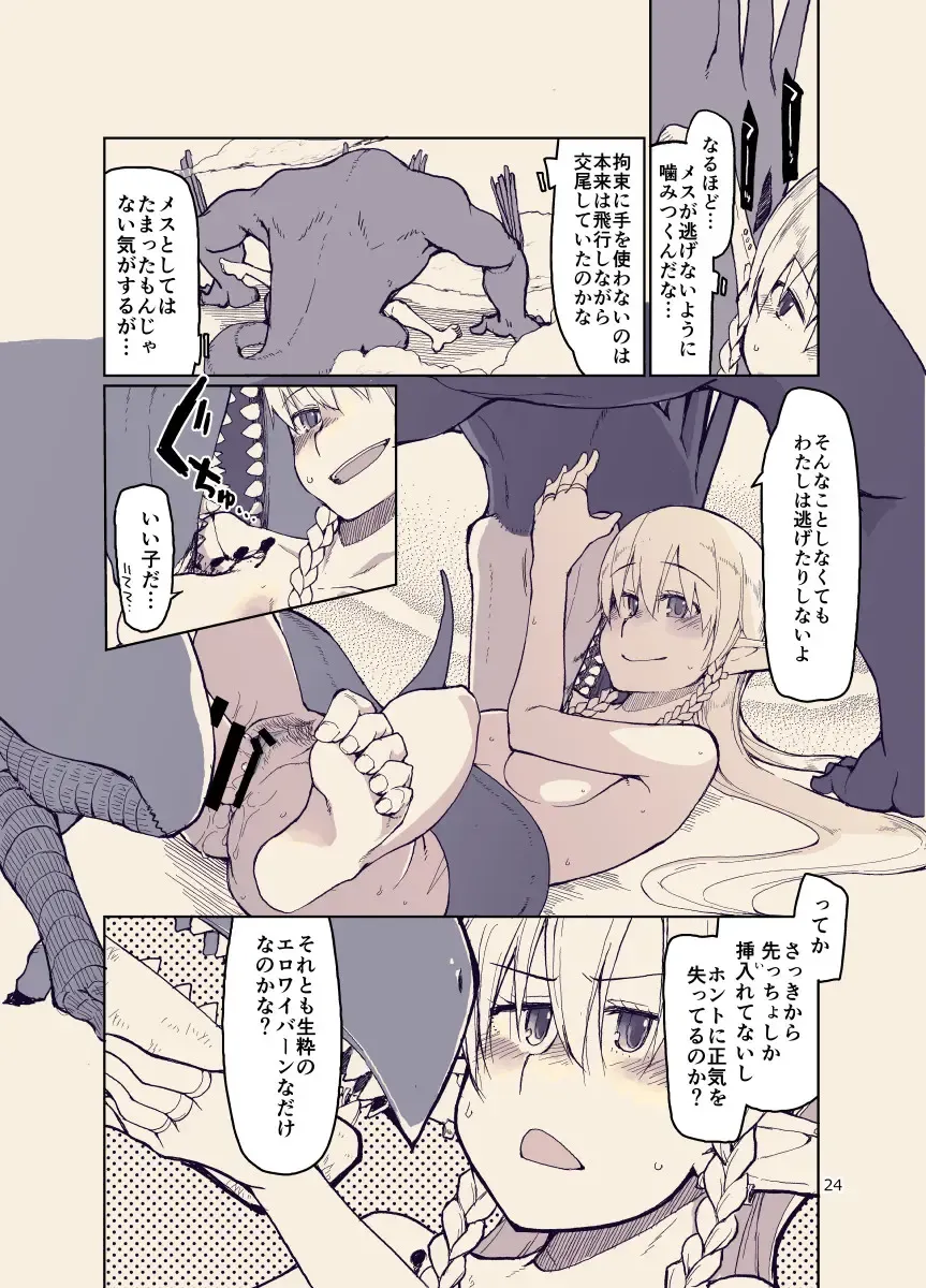 [Ryo] ドスケベエルフの異種姦日記12 Fhentai - Page 23