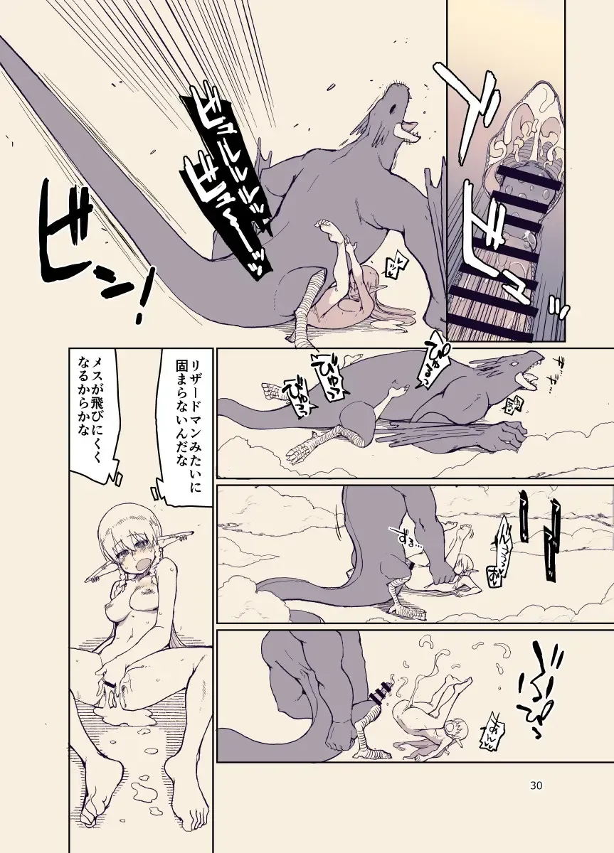 [Ryo] ドスケベエルフの異種姦日記12 Fhentai - Page 29
