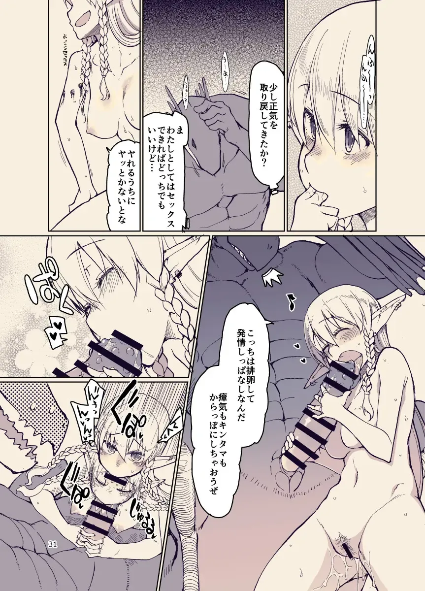 [Ryo] ドスケベエルフの異種姦日記12 Fhentai - Page 30