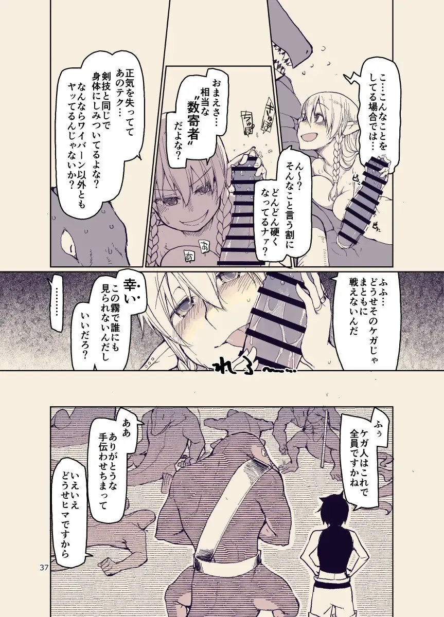 [Ryo] ドスケベエルフの異種姦日記12 Fhentai - Page 36